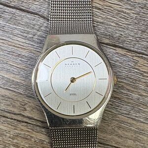 Skagen Denmark Stainless Steel Mesh Watch | Minimalist Silver Dial | 233SGSC